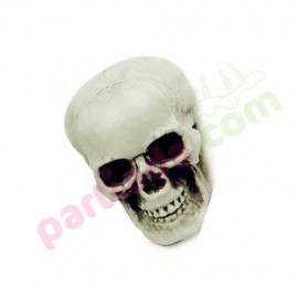 HALLOWEEN KURU KAFA 7.5 CM ADET HLW-24476 / SKL