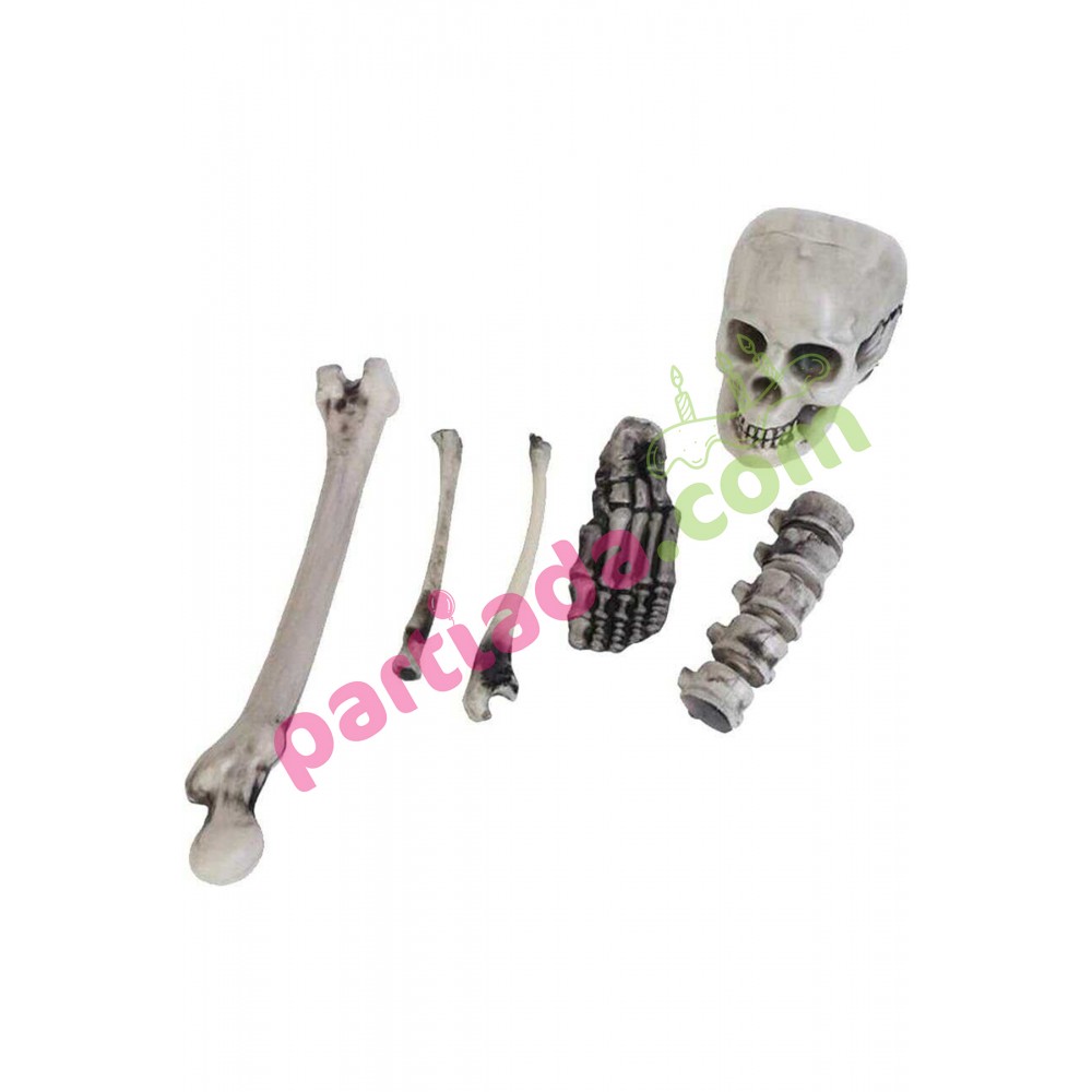 HALLOWEEN İSKELET SET BEYAZ 6 PARÇA