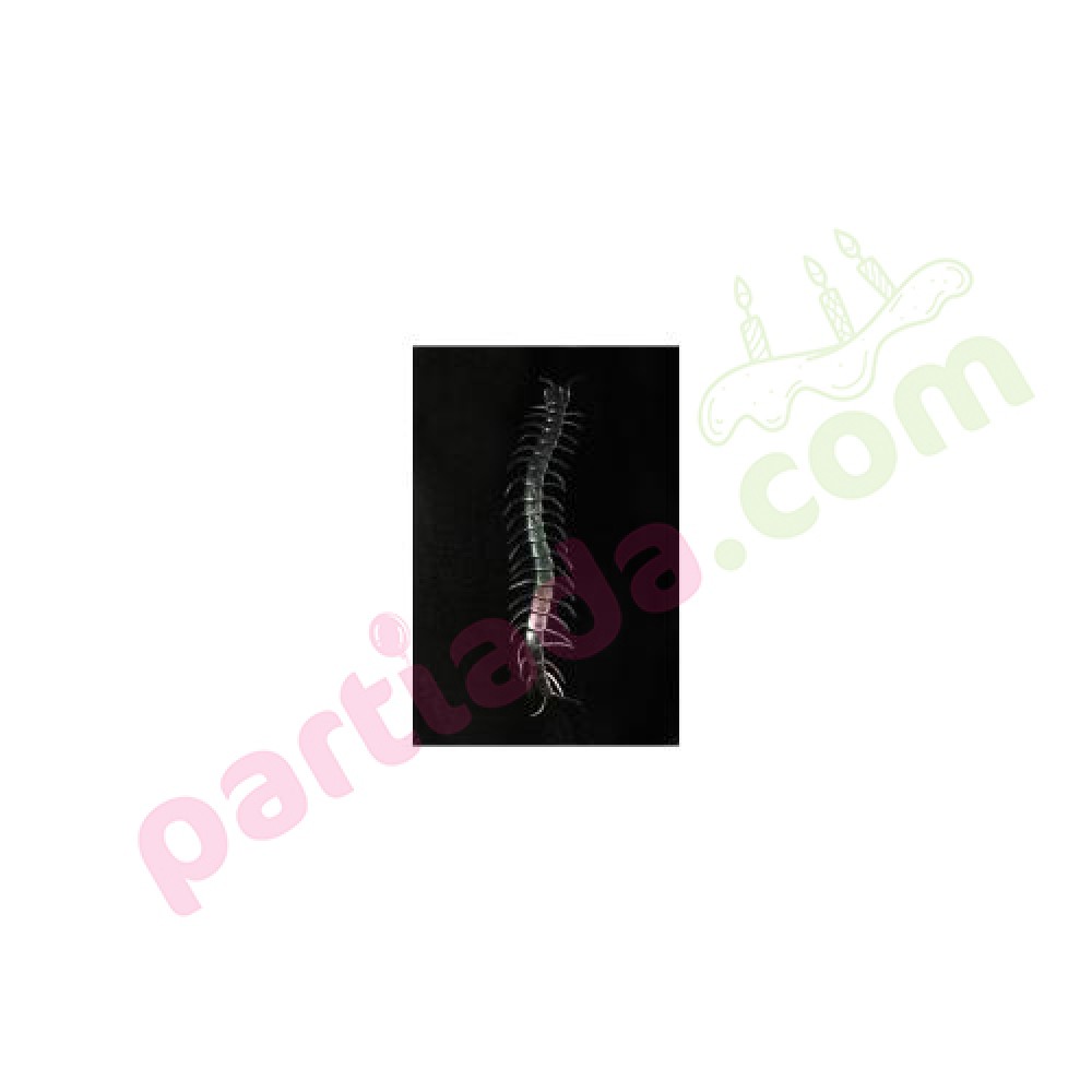 KIRKAYAK FOSFORLU 13 CM