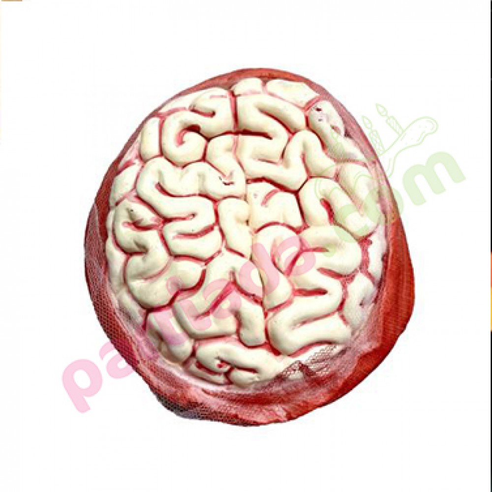 HALLOWEEN BEYİN ŞAPKA